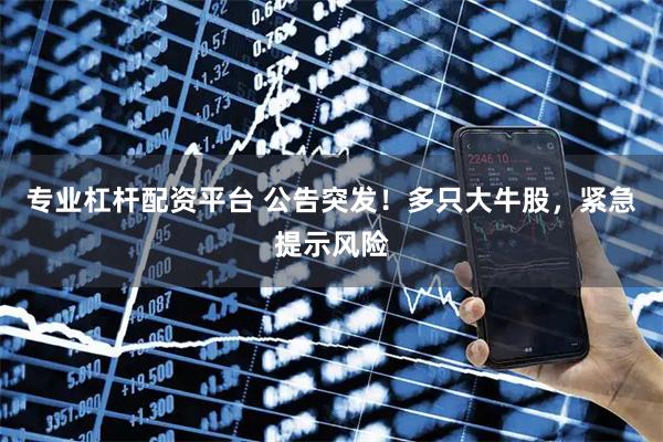 专业杠杆配资平台 公告突发！多只大牛股，紧急提示风险
